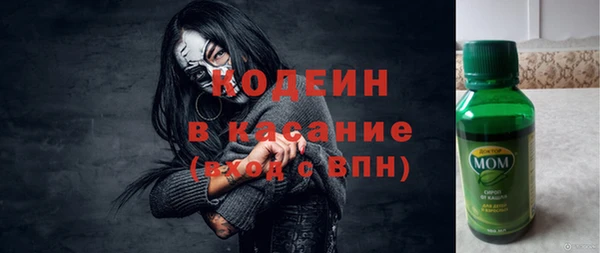 хмурый Арсеньев