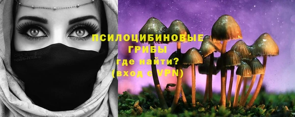 дурь Аркадак