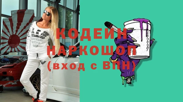 хмурый Арсеньев